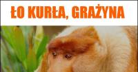 komentarz obrazkowy