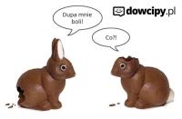 komentarz obrazkowy