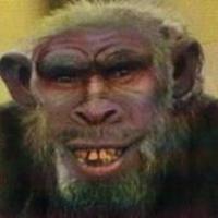 komentarz obrazkowy