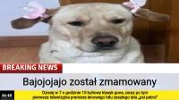 komentarz obrazkowy
