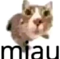 komentarz obrazkowy