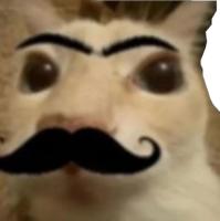 komentarz obrazkowy