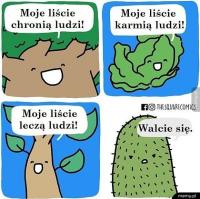 komentarz obrazkowy