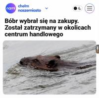 komentarz obrazkowy