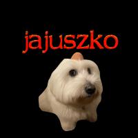 komentarz obrazkowy