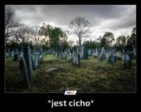komentarz obrazkowy