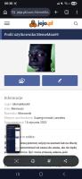 komentarz obrazkowy