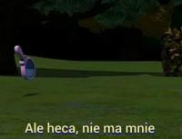 komentarz obrazkowy
