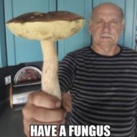 komentarz obrazkowy