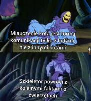 komentarz obrazkowy