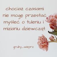 komentarz obrazkowy