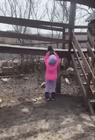 komentarz obrazkowy