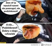 komentarz obrazkowy