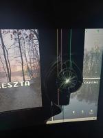 komentarz obrazkowy