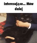 komentarz obrazkowy