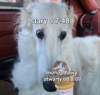 komentarz obrazkowy