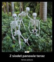 komentarz obrazkowy