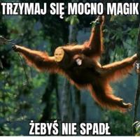 komentarz obrazkowy