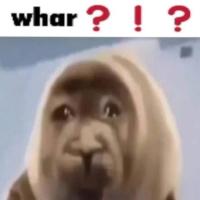 komentarz obrazkowy