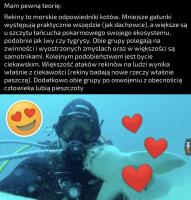 komentarz obrazkowy
