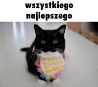 komentarz obrazkowy