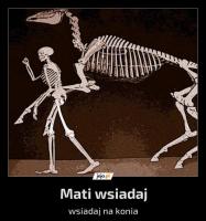 komentarz obrazkowy