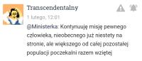 komentarz obrazkowy