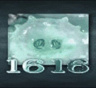 komentarz obrazkowy