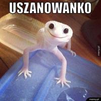 komentarz obrazkowy