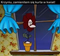 komentarz obrazkowy